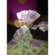 Loan Offer Opportunity